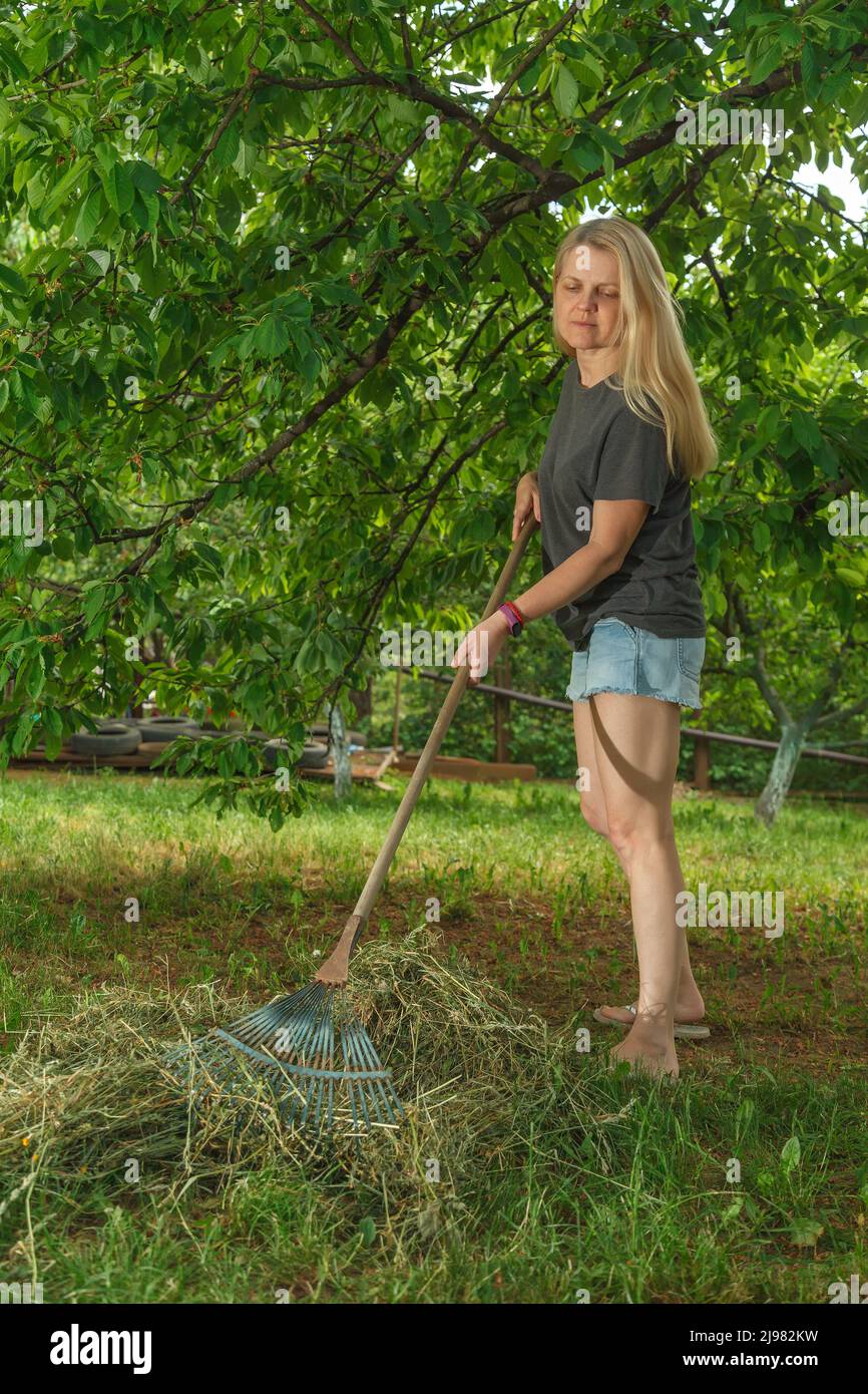 La ragazza raccoglie erba secca con rastrello da giardino Foto Stock