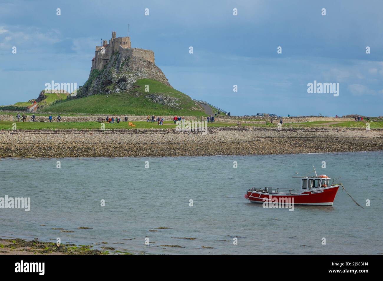 Inghilterra, Northumberland, Lindisfarne, l'isola Santa, il castello Foto Stock