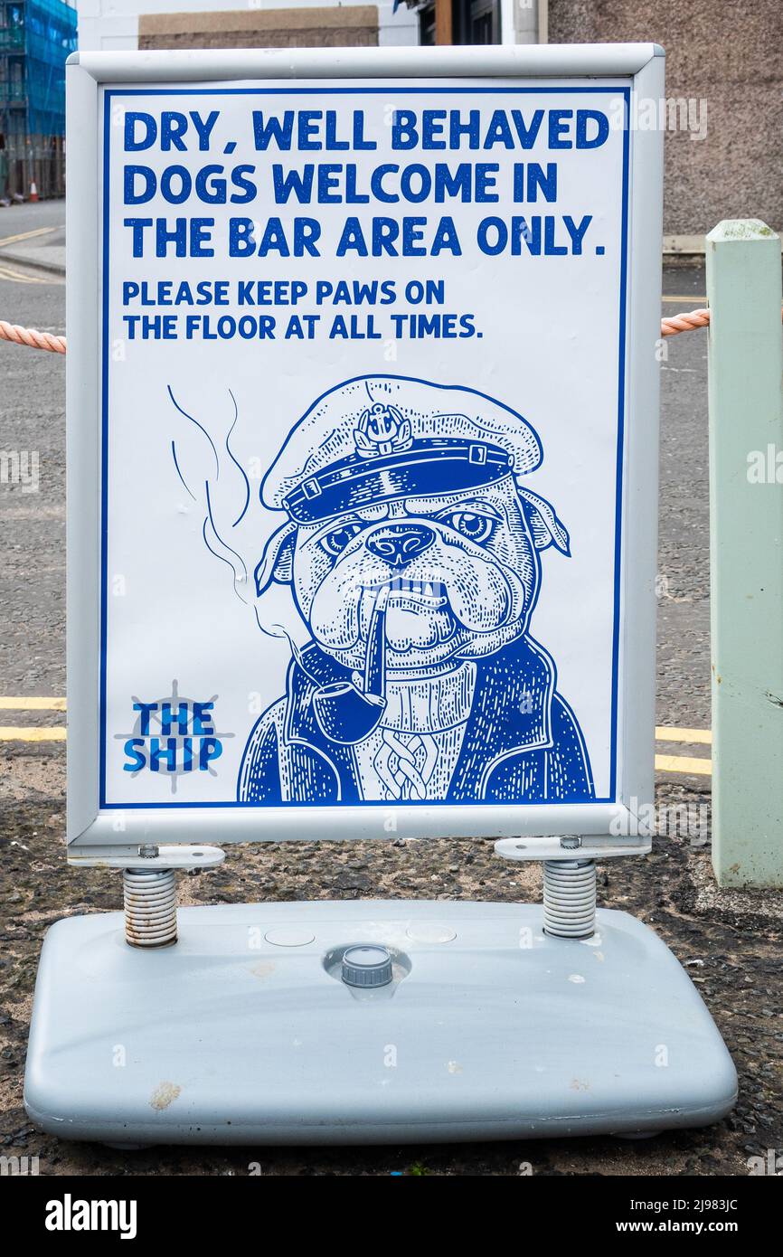 Scozia, Berwicksire, Eyemouth, Dogs in Pub segno Foto Stock