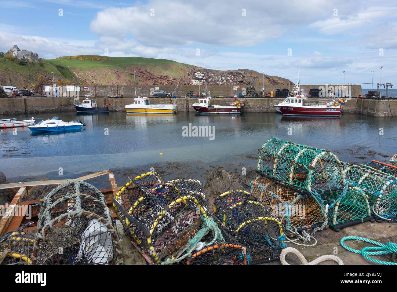 Scozia, Borders, St.Abbs villaggio di pescatori e vasi di aragosta Foto Stock