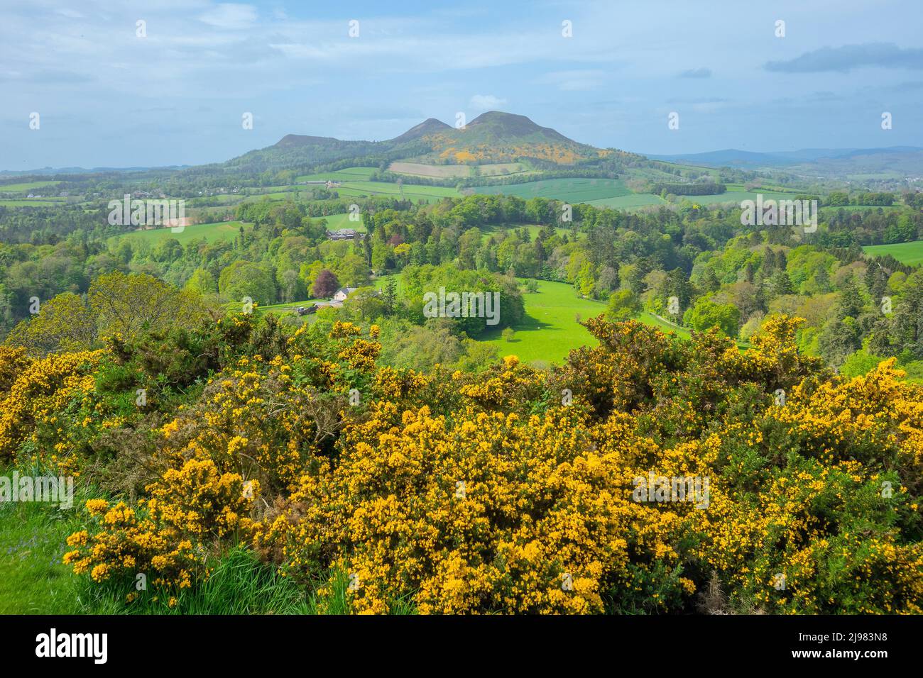 Scozia, Borders, Dryburgh, la vista di Scott verso le colline di Eildon Foto Stock