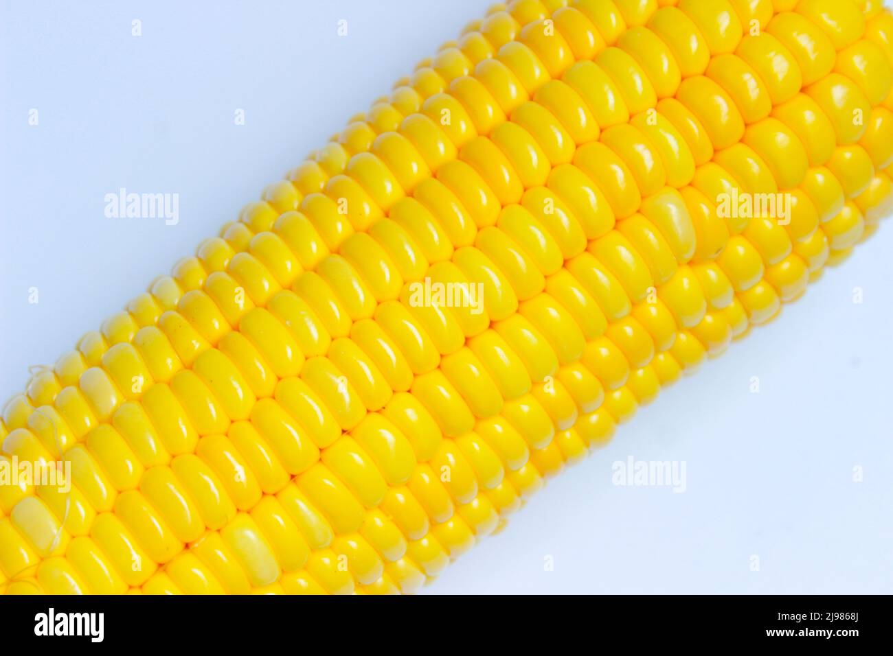 Mais giallo dolce isolato su sfondo bianco Foto Stock
