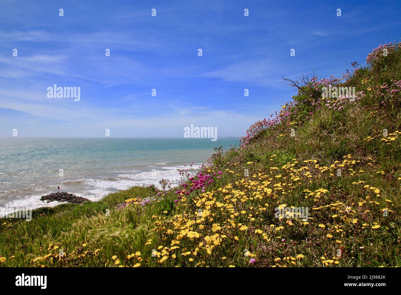 Spiaggia di Barton sul Mare e lungomare con fiori selvatici. Maggio 2022 Foto Stock