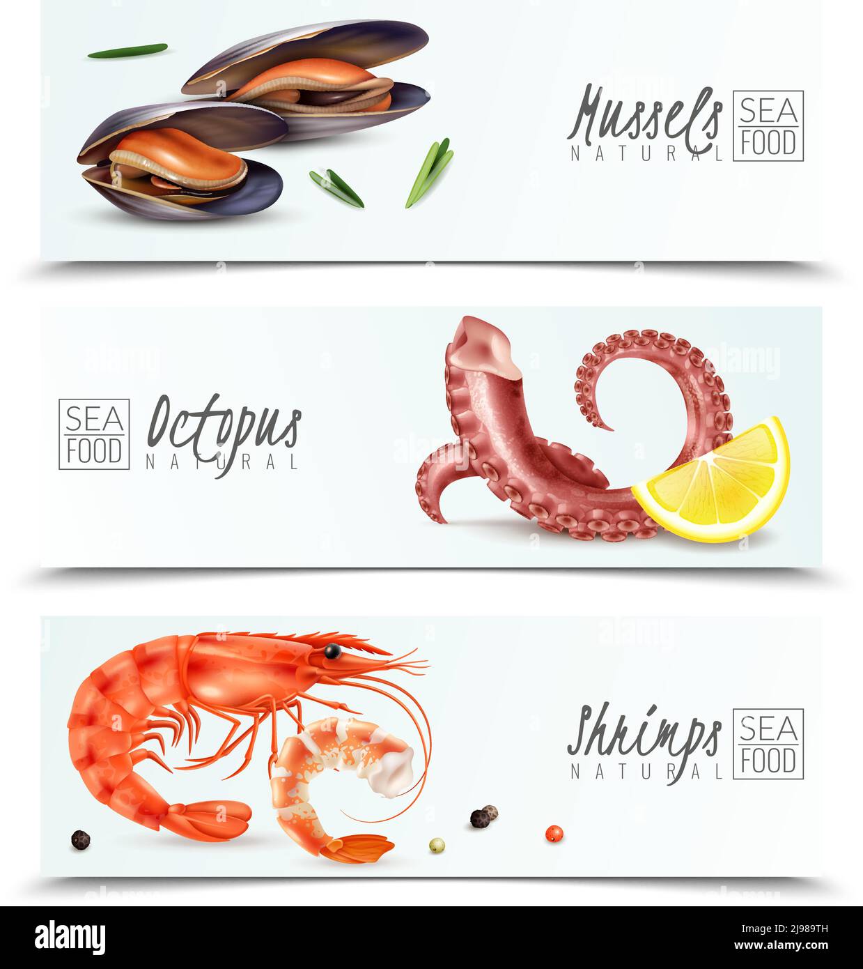 Scelta sostenibile dei frutti di mare 3 striscioni orizzontali realistici con gamberi di cozze antipasto octopus cocktail ingredienti isolato vettore illustrazione Illustrazione Vettoriale