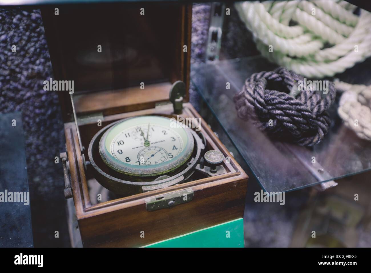 Immagini interessanti della fauna marina del Mar Rosso espone vicino al forte di Qaitbay sul porto orientale di Alessandria, in Egitto Foto Stock
