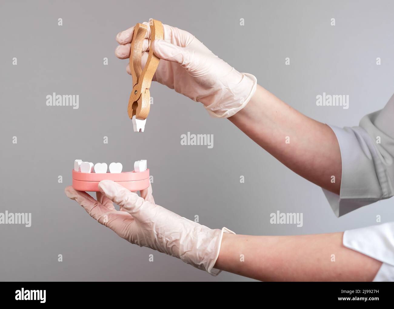 Le mani del dentista tirano il dente con le pinze fuori dal modello della mandibola. Rimozione dei denti, odontoiatria concetto. Trattamento delle malattie dentali. Foto di alta qualità Foto Stock