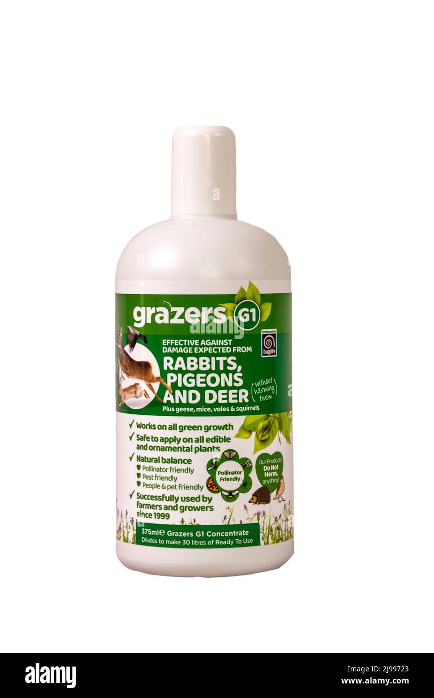 Una bottiglia di grazers G1 conigli, Pigeons e Deer repellente. Foto Stock