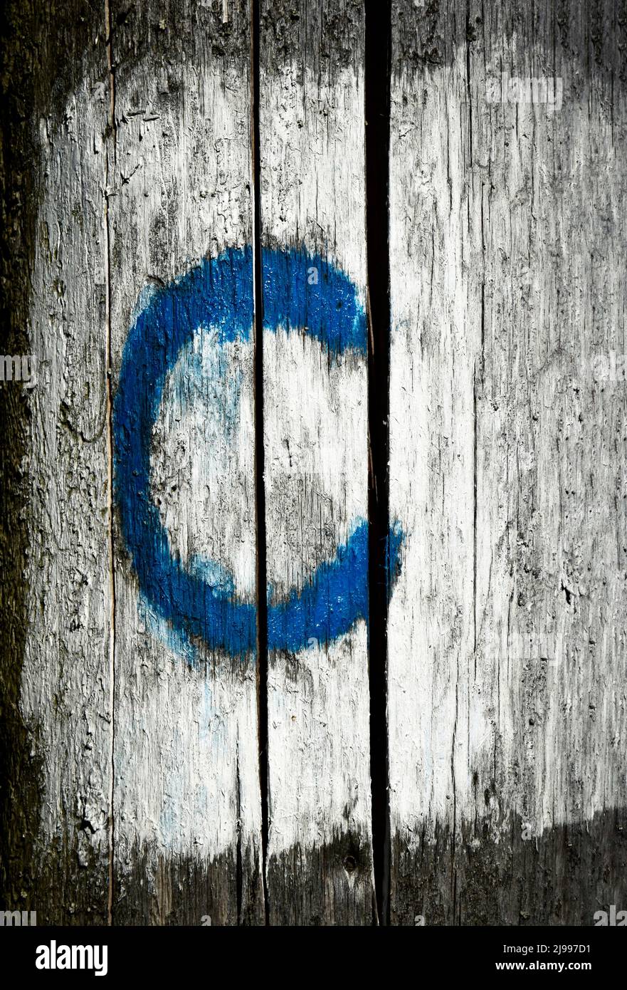 la lettera blu c su sfondo di legno Foto Stock
