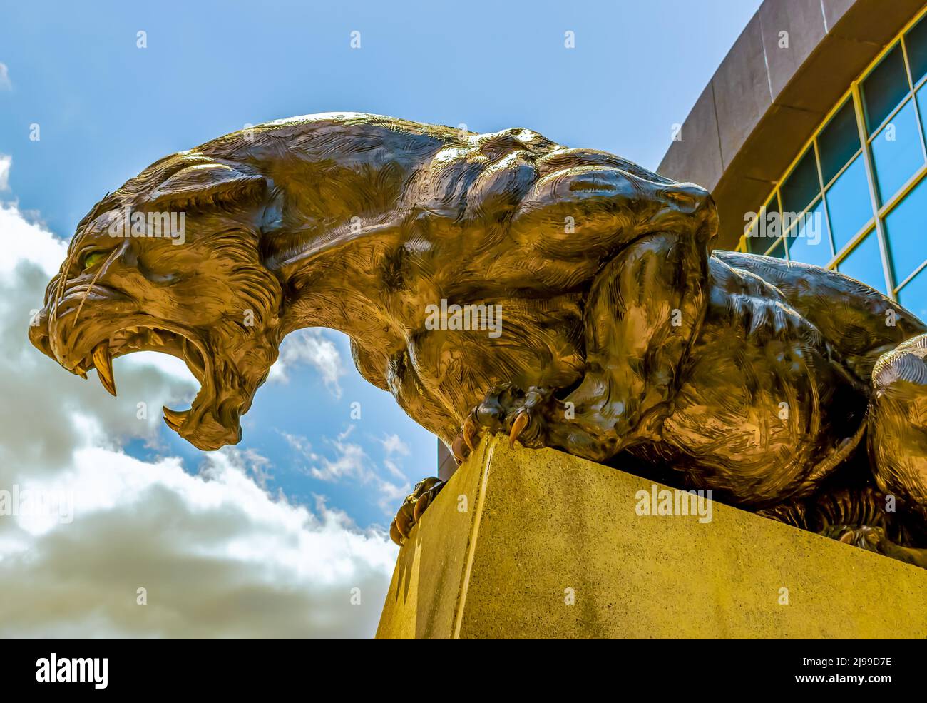Charlotte, NC/USA - 14 maggio 2019: Primo piano orizzontale medio della statua su un piedistallo della mascotte Carolina Panthers al di fuori dello Stadio Bank of America. Foto Stock