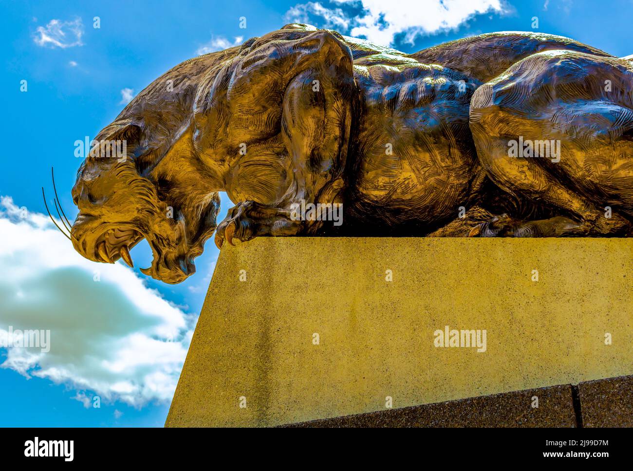 Charlotte, NC/USA - 14 maggio 2019: Primo piano orizzontale medio della statua su un piedistallo della mascotte Carolina Panthers al di fuori dello Stadio Bank of America. Foto Stock