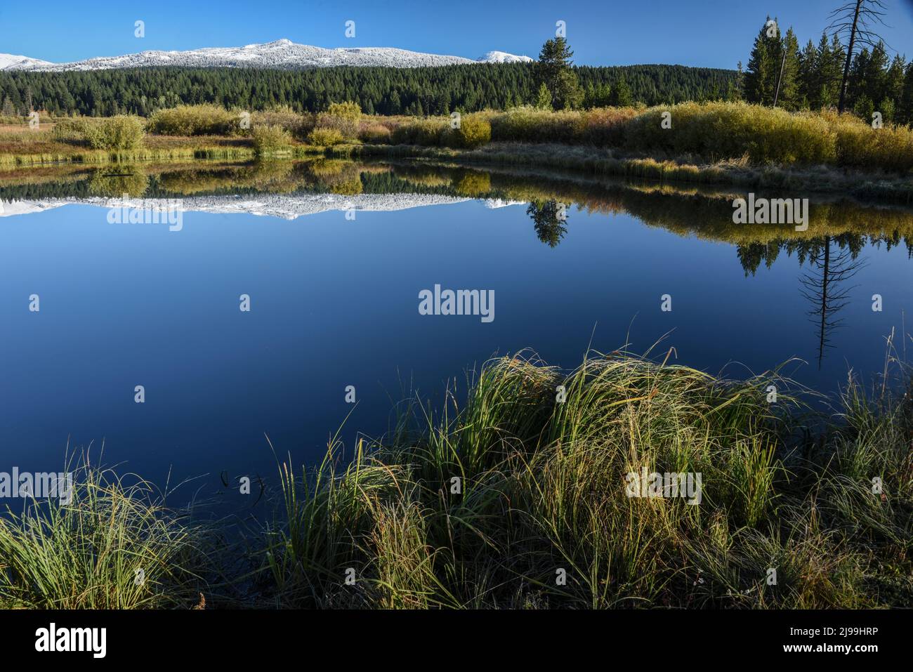 Il picco di Sawtell innevato e le montagne centenarie si riflettono in uno stagno riservato ai bambini che pescano, stagno del mulino di stoddard, parco dell'isola, Fremont Co, Idaho, USA Foto Stock