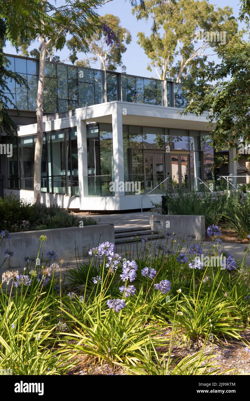 Laboratorio di sostenibilità a Caltech con fiori viola in primo piano Foto Stock