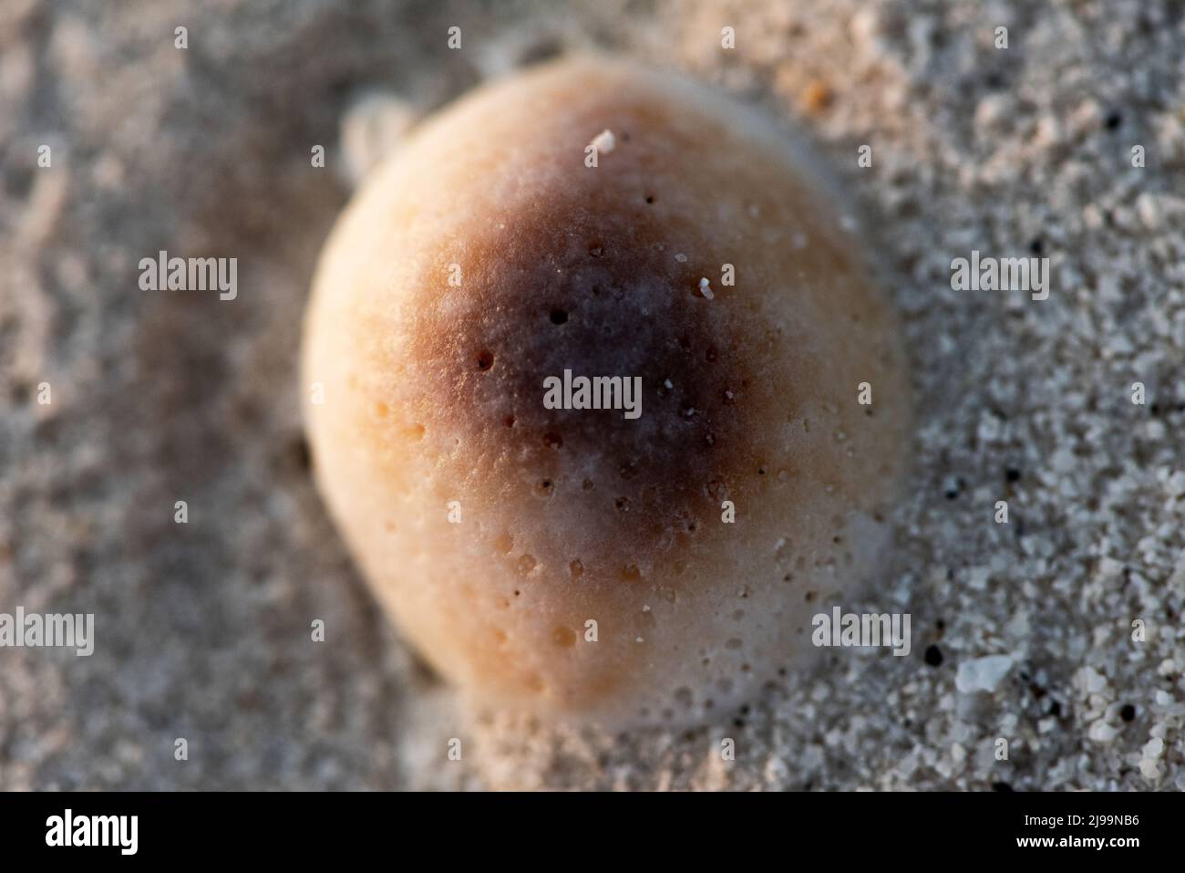Passeggiata sulla spiaggia di Maledives Foto Stock
