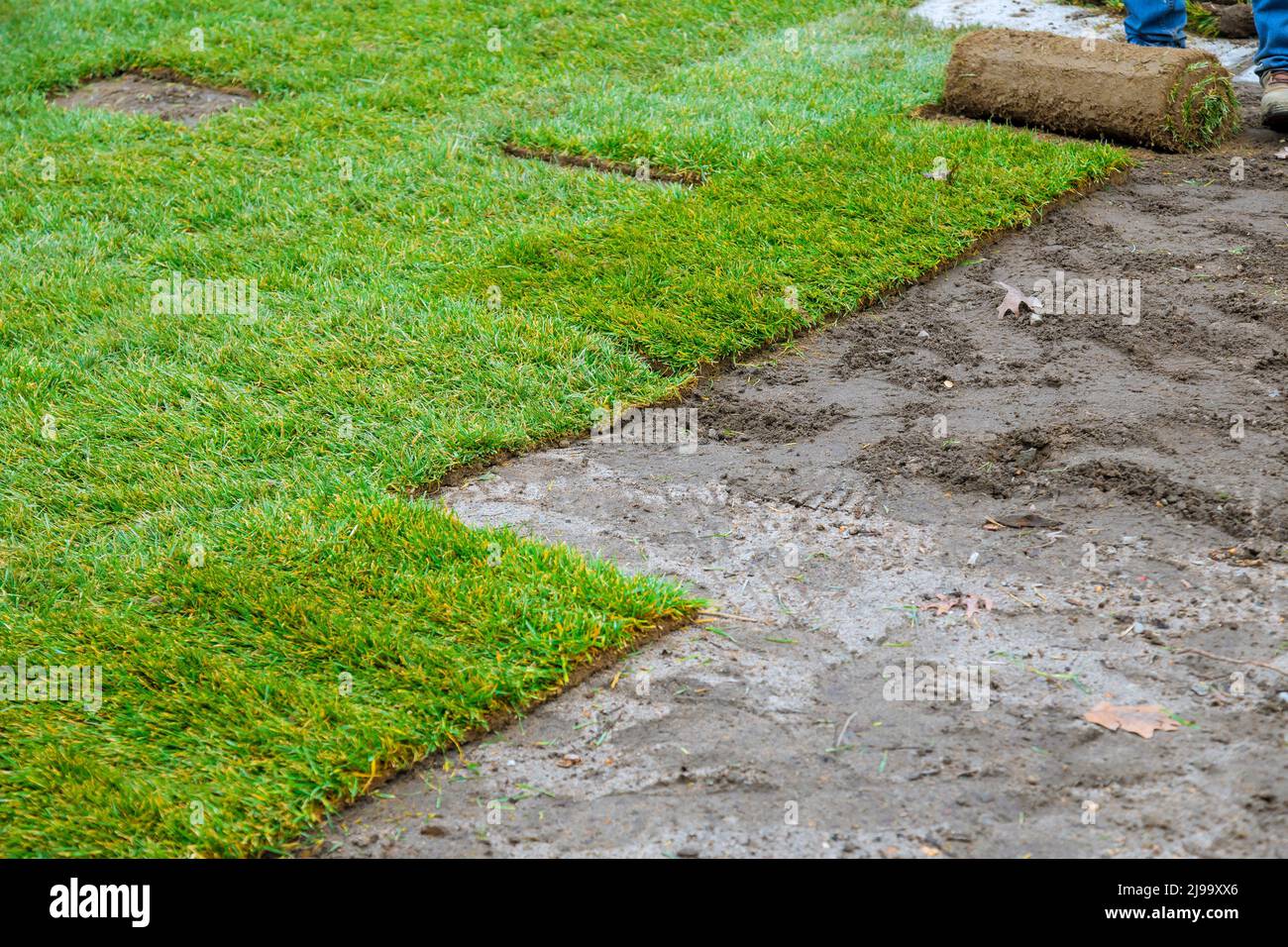 Svolgimento rotoli di posa in erba laminata naturale con materiale per paesaggistica Foto Stock