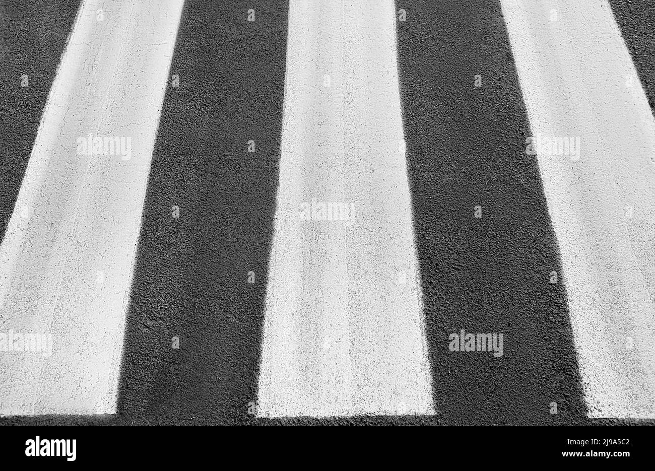 Zebra traversa sulla strada in città Foto Stock