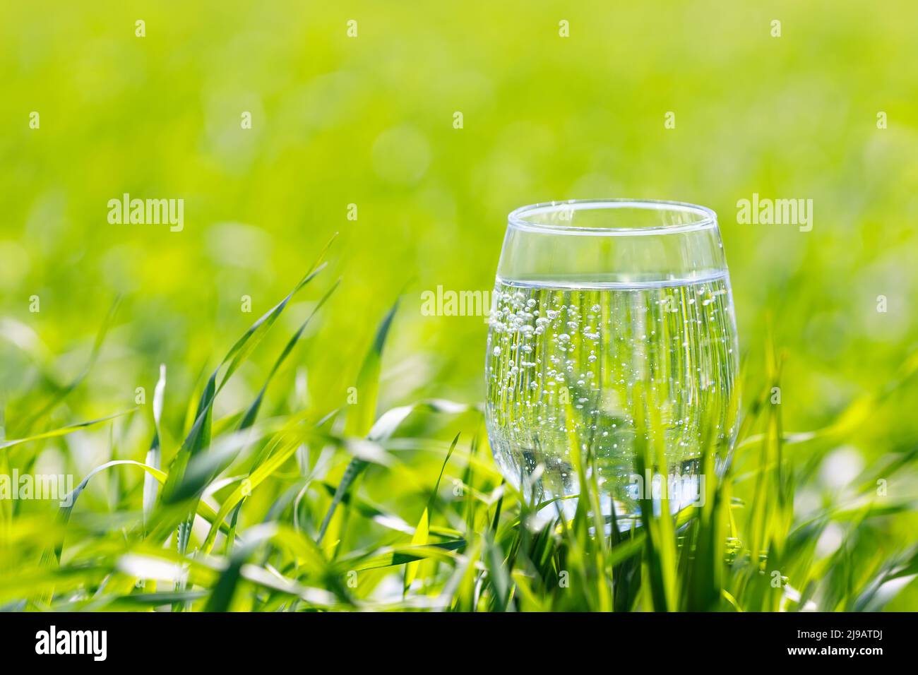 acqua potabile in vetro su sfondo verde Foto Stock