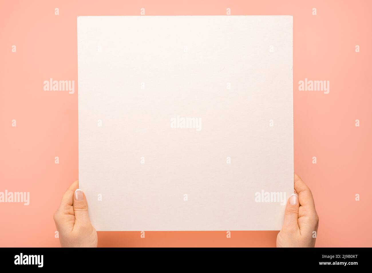 Colpo di testa delle mani della donna che tiene il foglio di carta bianco quadrato sul tavolo rosa. Donna mani con mockup foglio di carta vuoto su sfondo pastello. Mani hol Foto Stock