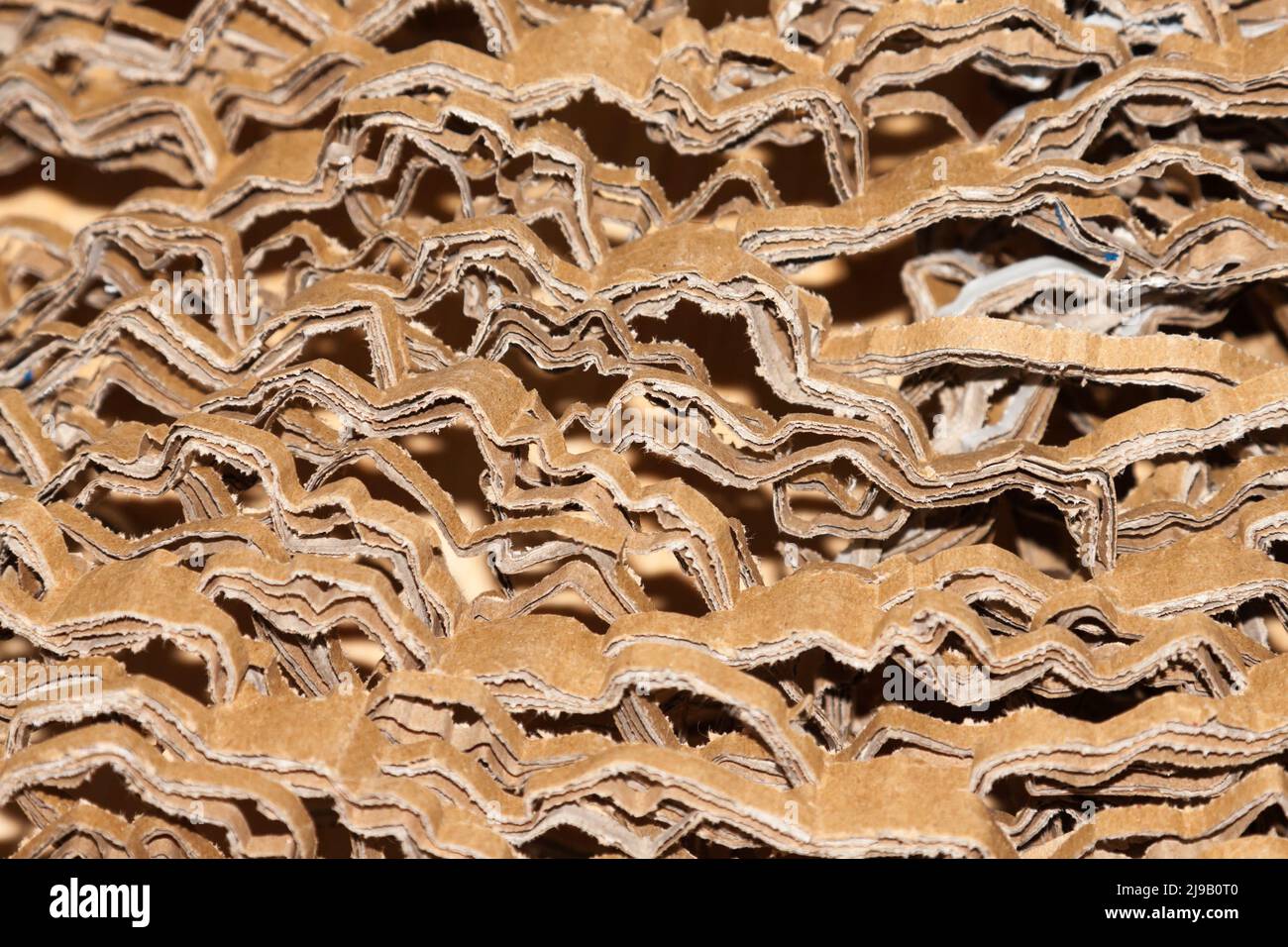 Cartone tagliato all'interno di una scatola di cartone Foto Stock