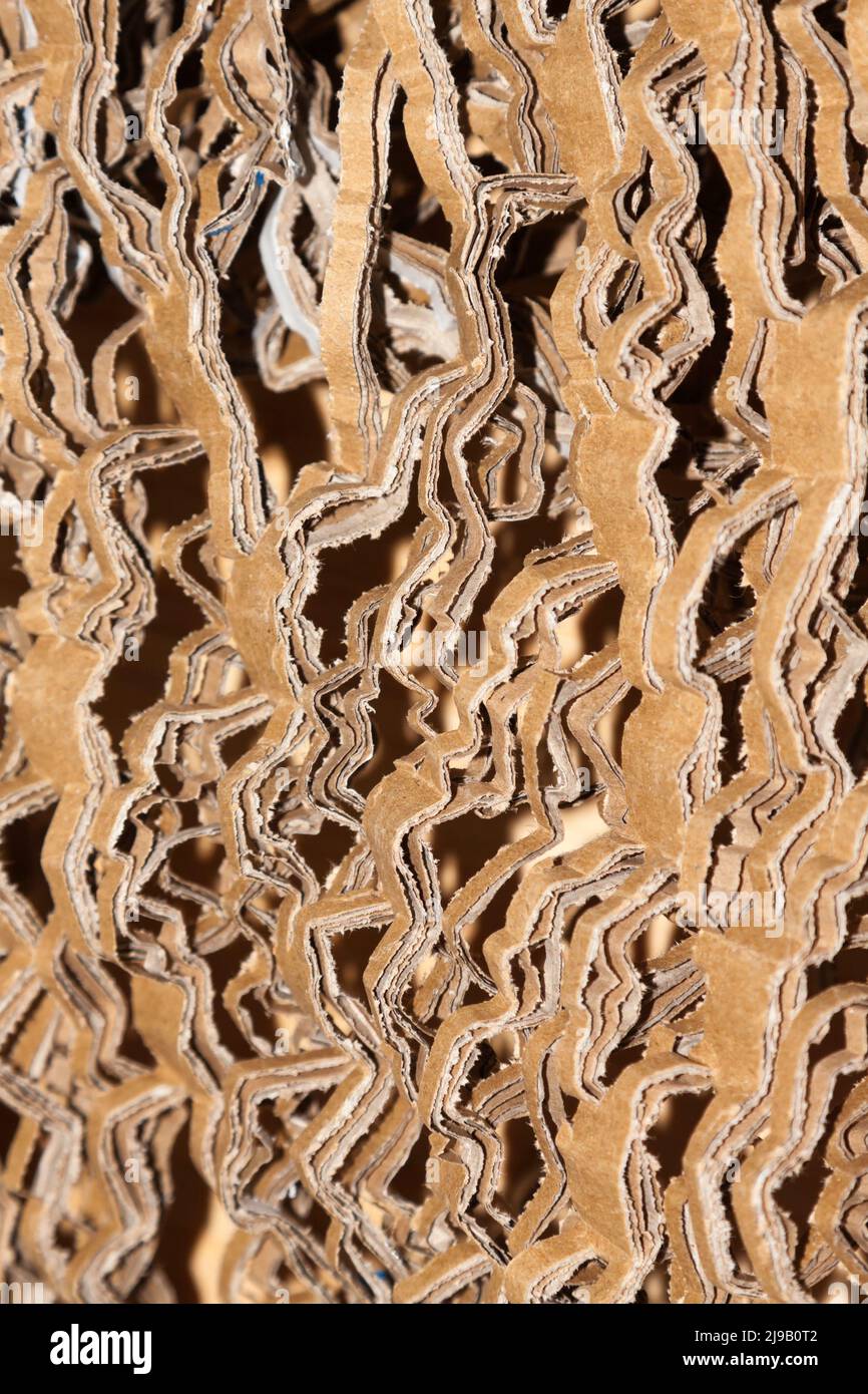 Cartone tagliato all'interno di una scatola di cartone Foto Stock