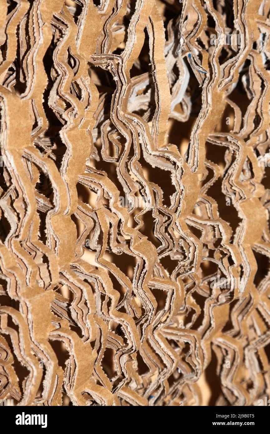 Cartone tagliato all'interno di una scatola di cartone Foto Stock