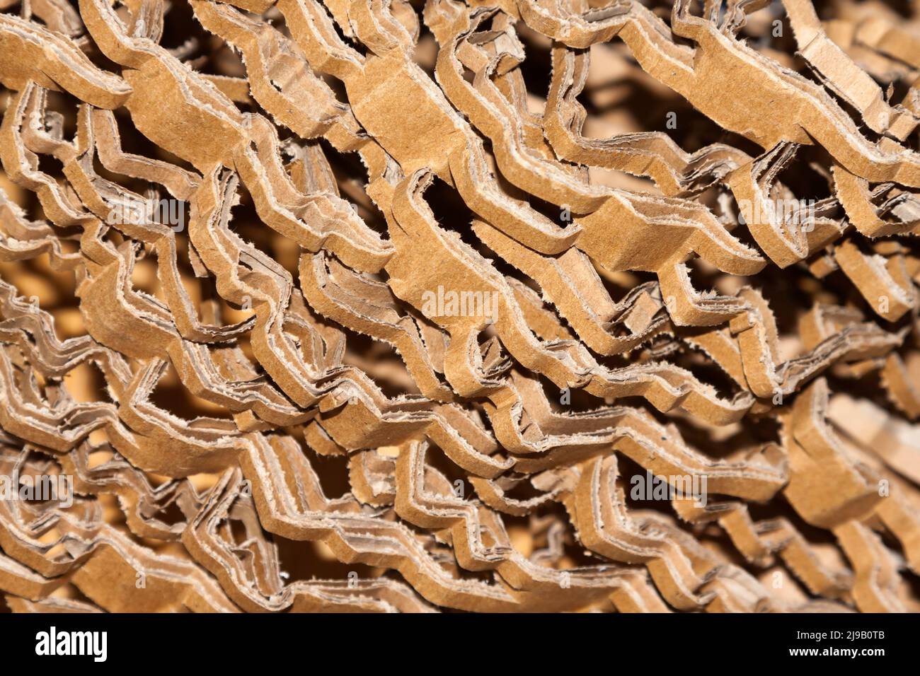 Cartone tagliato all'interno di una scatola di cartone Foto Stock