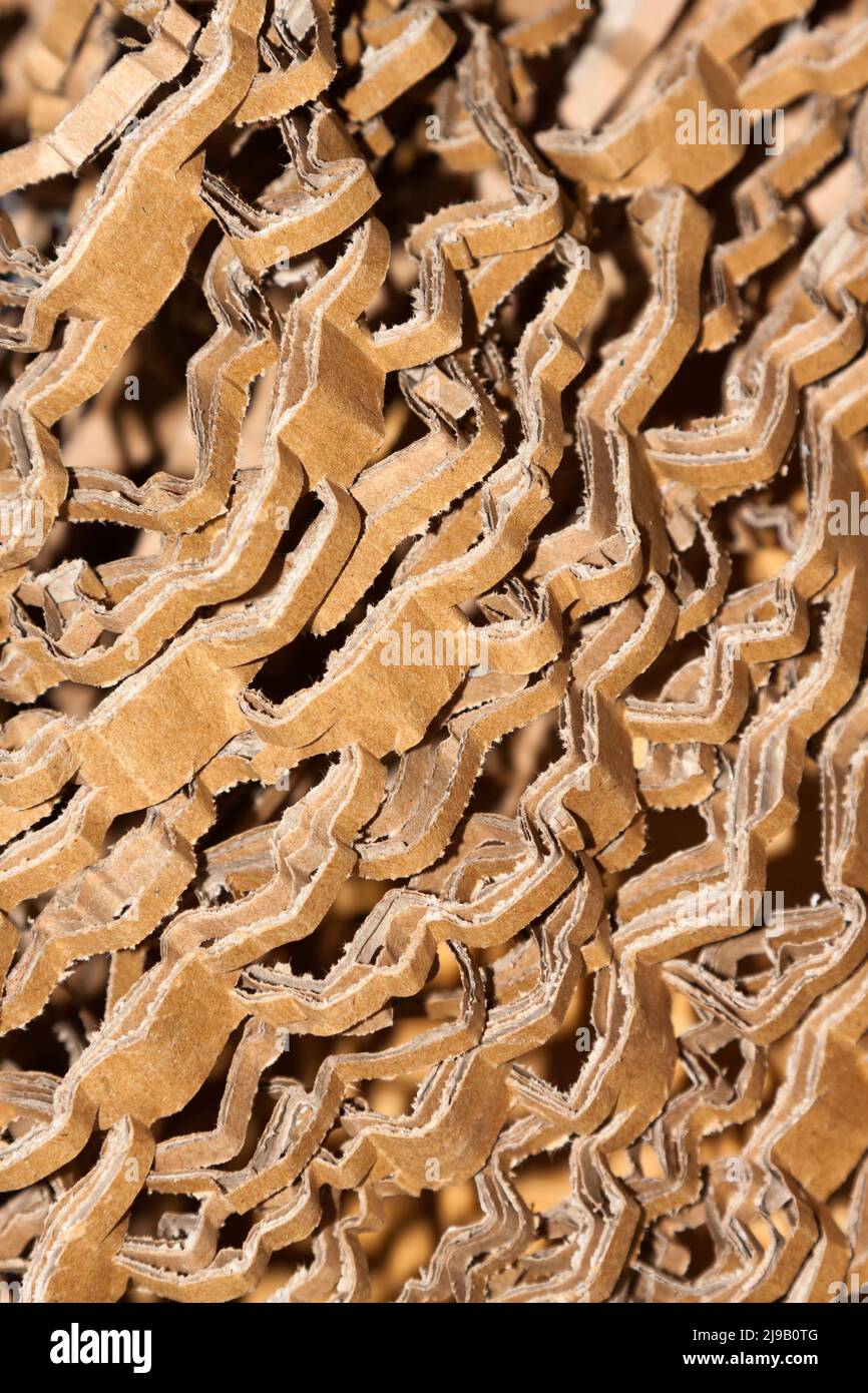 Cartone tagliato all'interno di una scatola di cartone Foto Stock