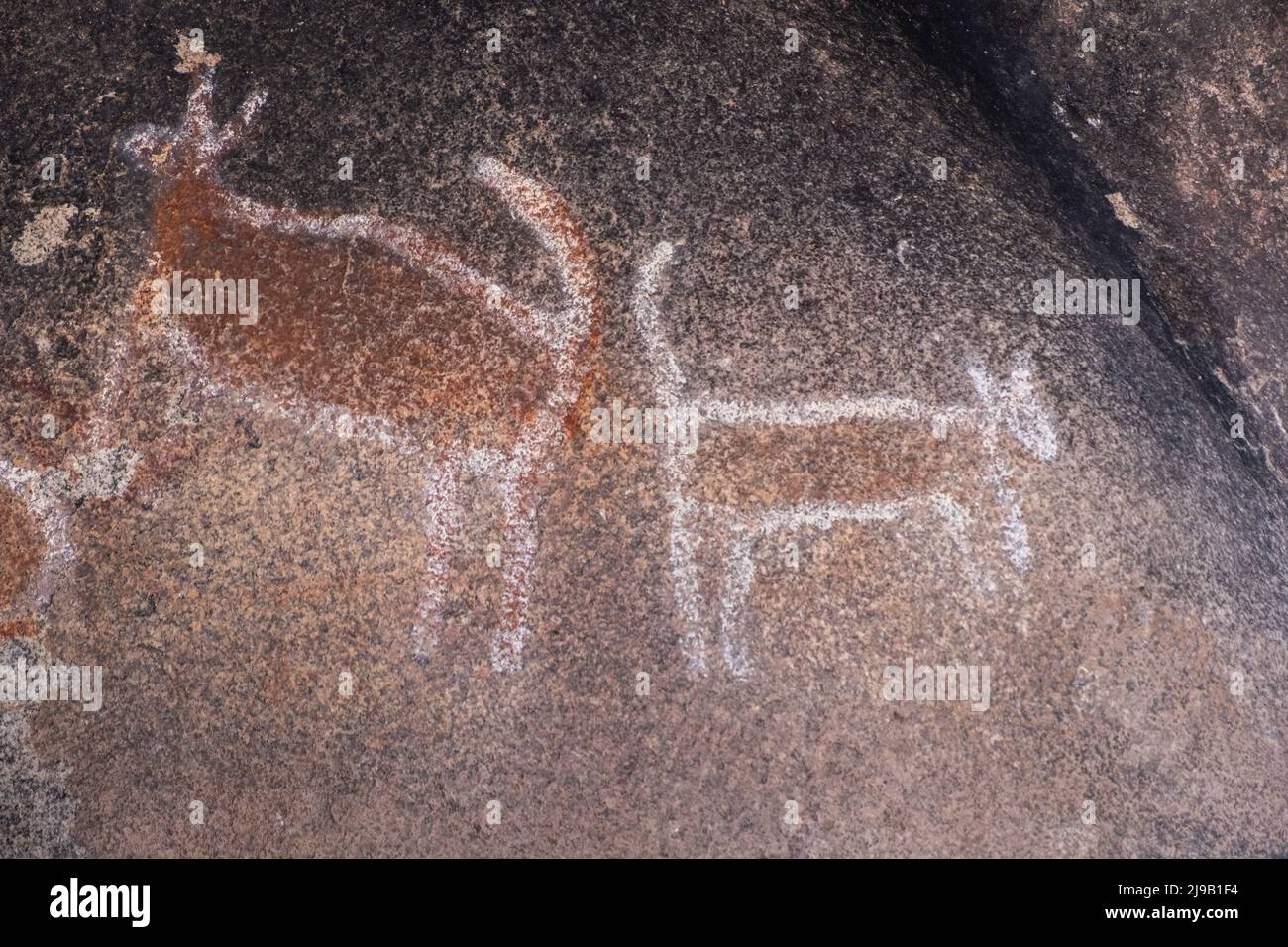 Arte rupestre australiana indigena nel Parco Nazionale dei Grampians, Australia Foto Stock