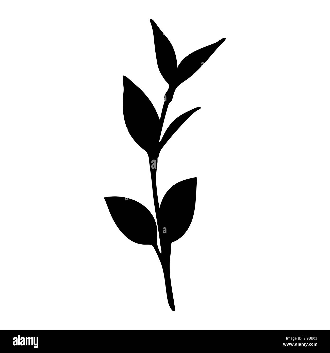 Silhouette nera di un ramo con foglie e un gambo isolato su sfondo bianco. Elemento botanico decorativo. Illustrazione vettoriale. Illustrazione Vettoriale