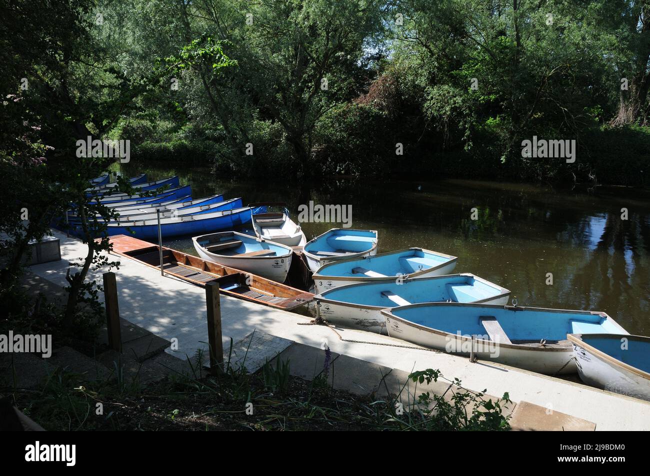 River Great Ouse, Houghton, Cambridgeshire Foto Stock
