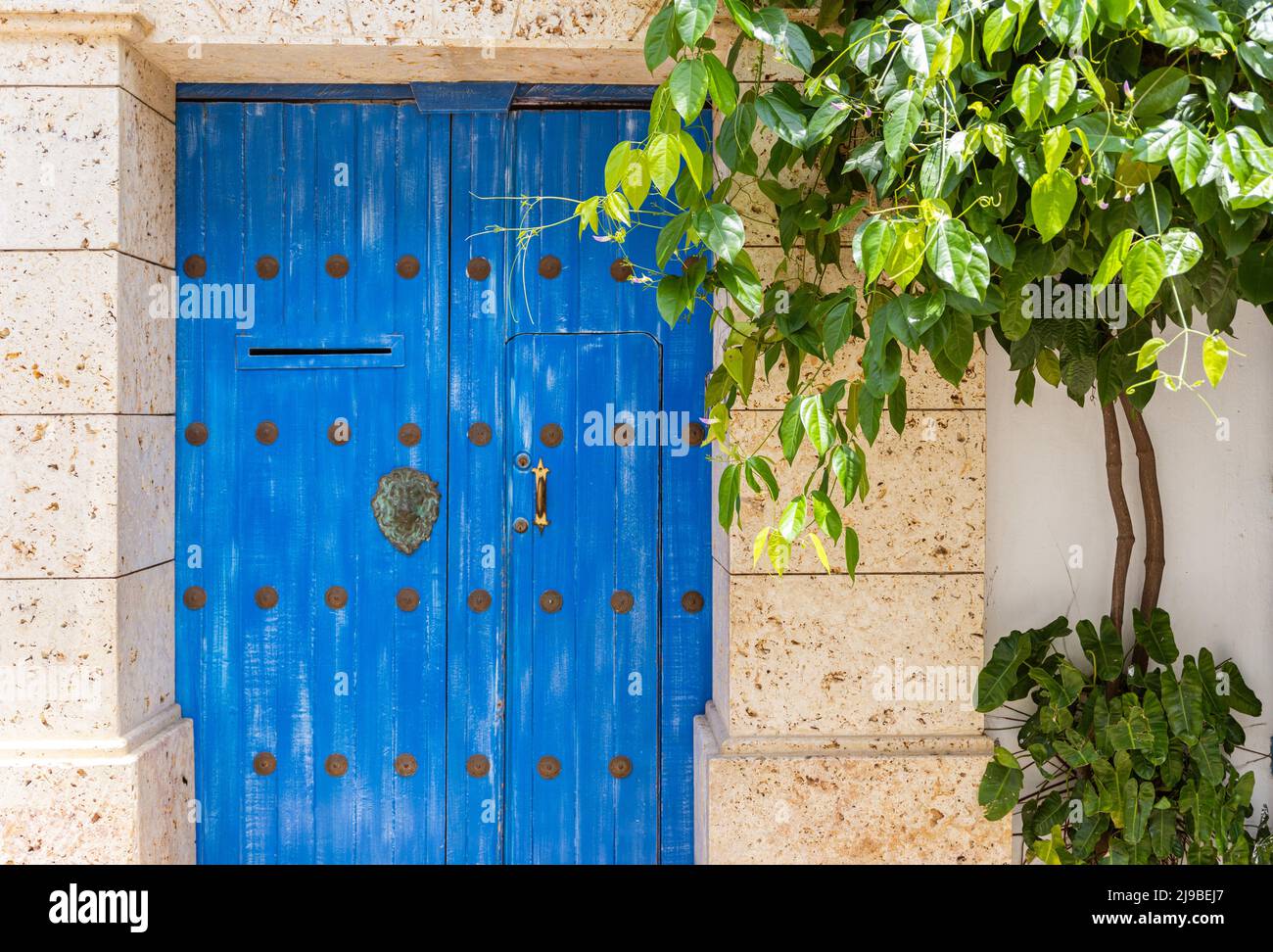antica porta in una casa a cartagena Foto Stock