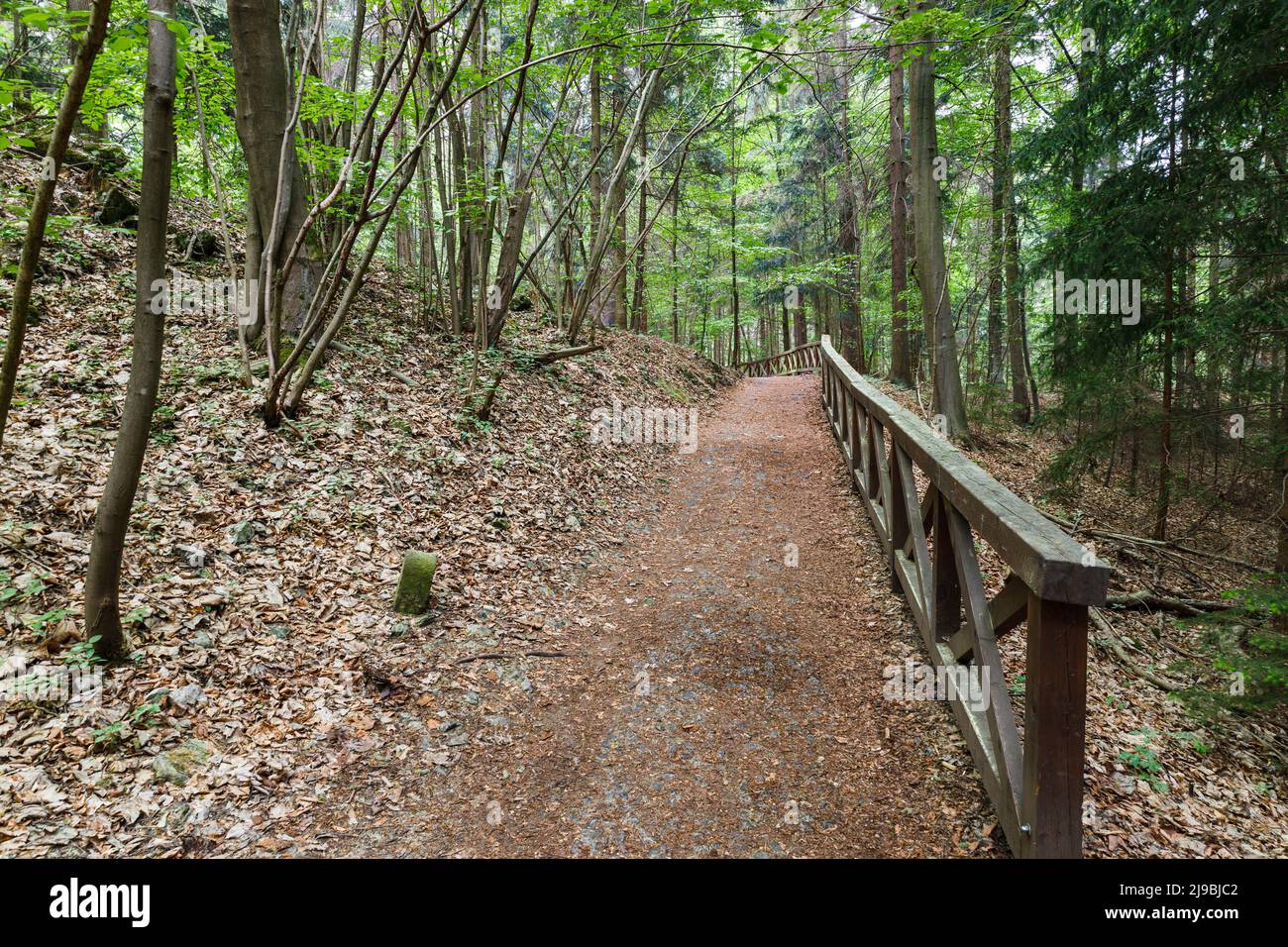 Sentiero per passeggiate in montagna con corrimano in legno Foto Stock