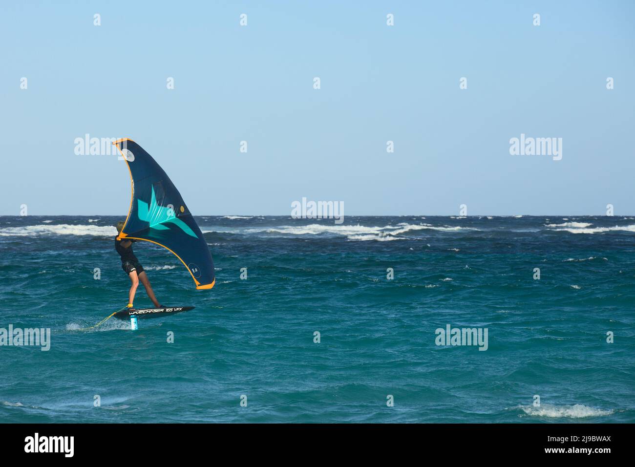 BOCA GRANDI, ARUBA - 17 DICEMBRE 2020: Persona con un aquilone di ala in piedi su una lavagna a fogli di Wavechaser alla spiaggia di Boca grandi ad Aruba Foto Stock