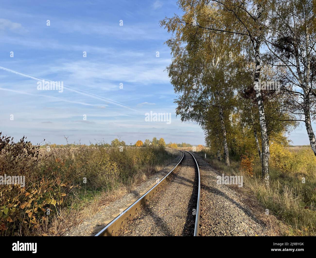 Binari ferroviari in mezzo alla foresta e campo con alberi in autunno Foto Stock