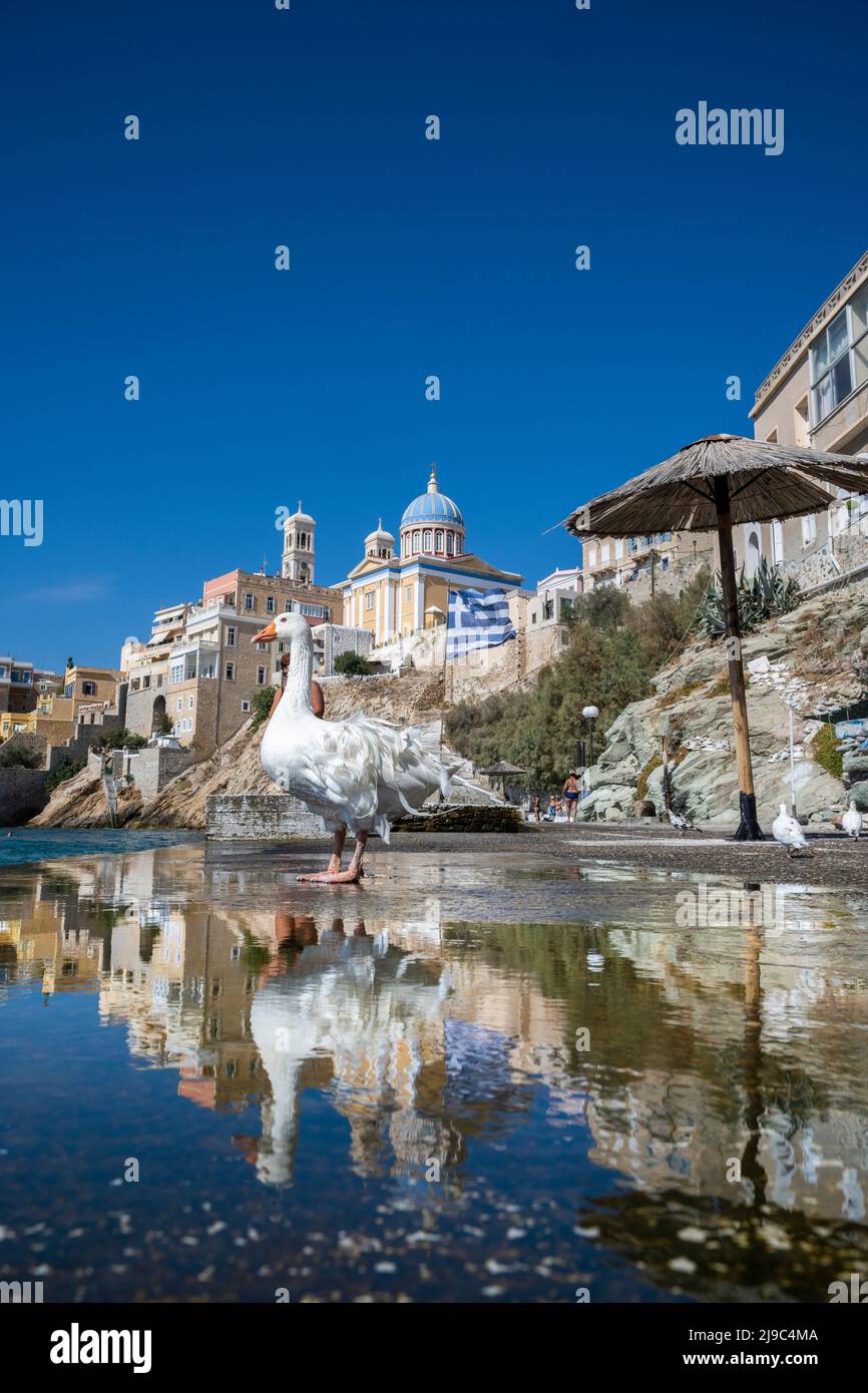 Architettura veneziana Syros. Foto Stock