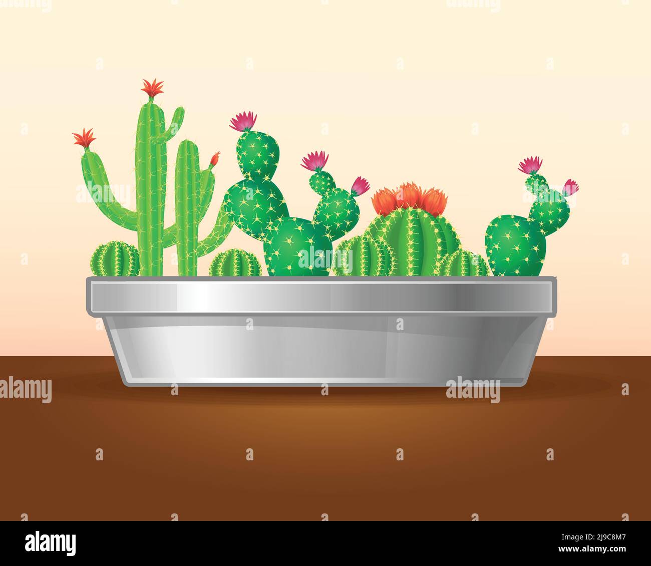 Piante verdi decorative con cactus e succulenti in fiore piantatrice su tavola marrone illustrazione vettoriale isolata Illustrazione Vettoriale