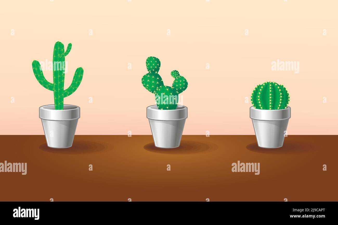 Bella collezione di piante esotiche con cactus verde affilato in vasi di fiori su tavola marrone illustrazione vettoriale isolata Illustrazione Vettoriale