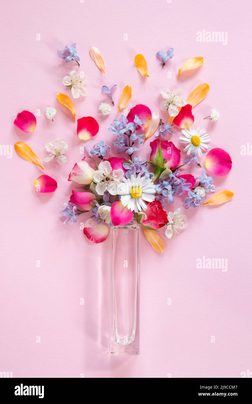 Fiori di primavera con una bottiglia di profumo su sfondo rosa Foto Stock