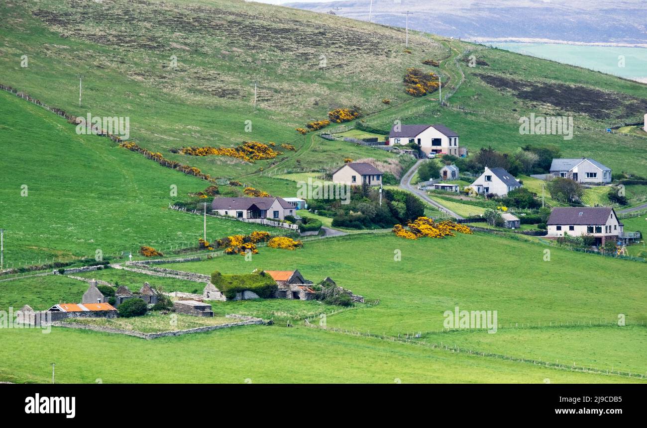 Comunità di Finstown sulla terraferma di Orkney, Isole Orkney, Scozia. Foto Stock