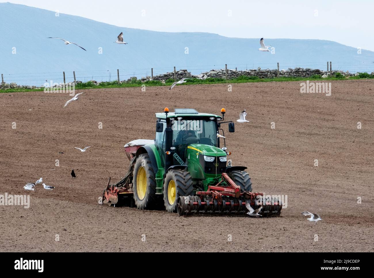 Coltivatore che prepara un campo vicino Orphir, Orkney terraferma, Scozia Foto Stock