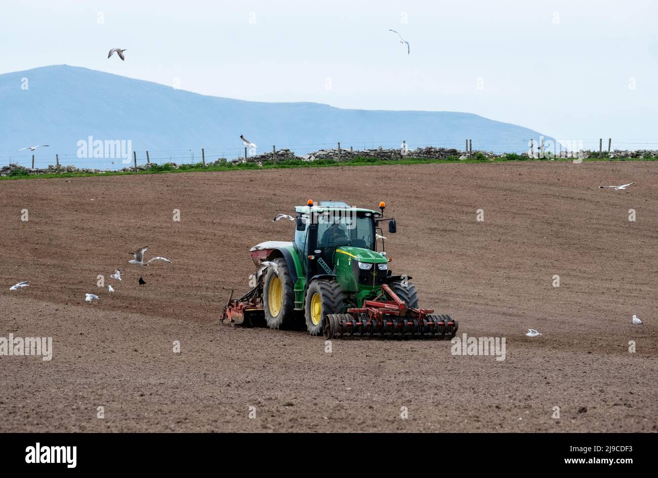 Coltivatore che prepara un campo vicino Orphir, Orkney terraferma, Scozia Foto Stock