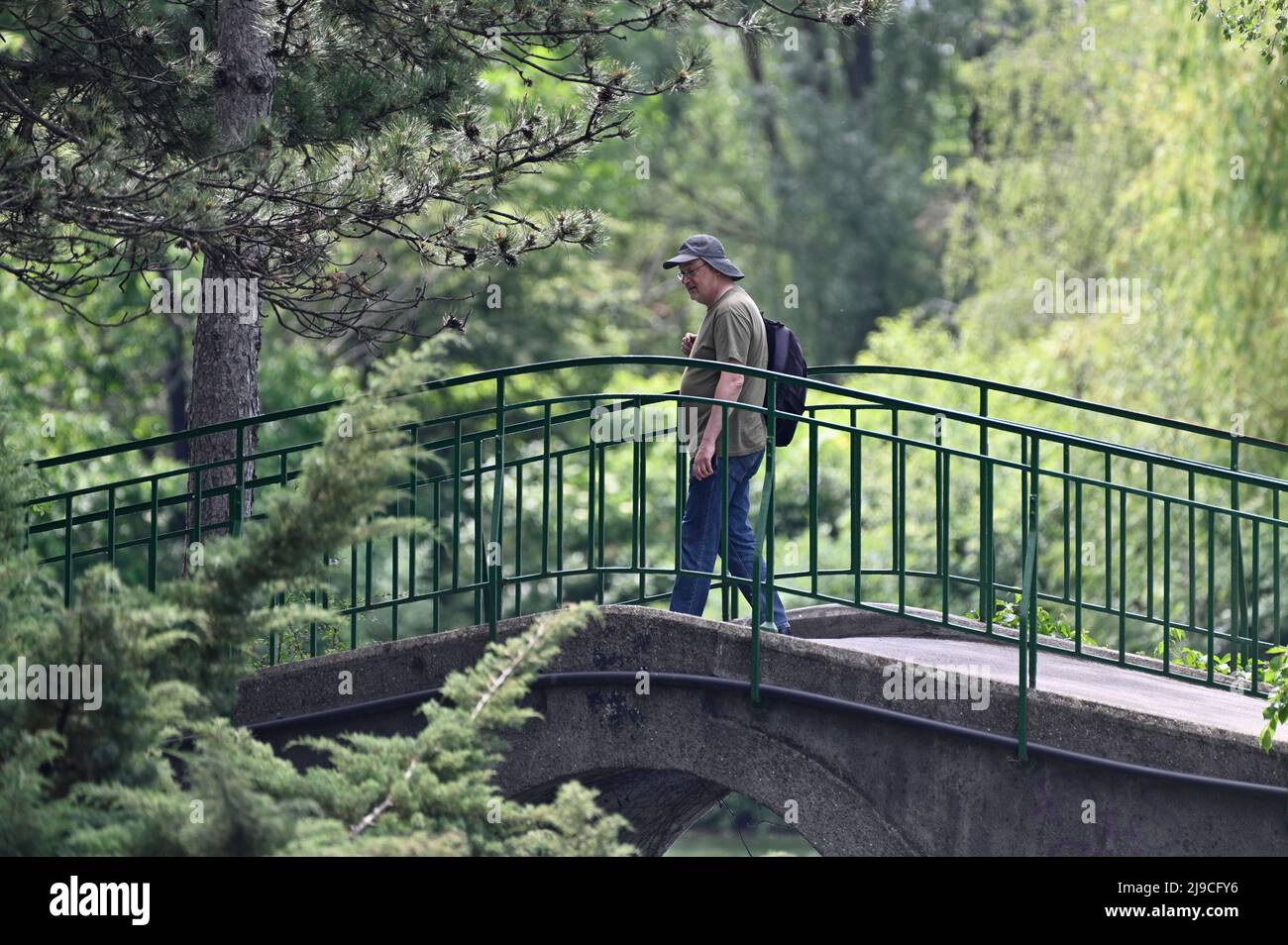 Vienna, Austria. Uomo che cammina su un ponte nel parco Foto Stock