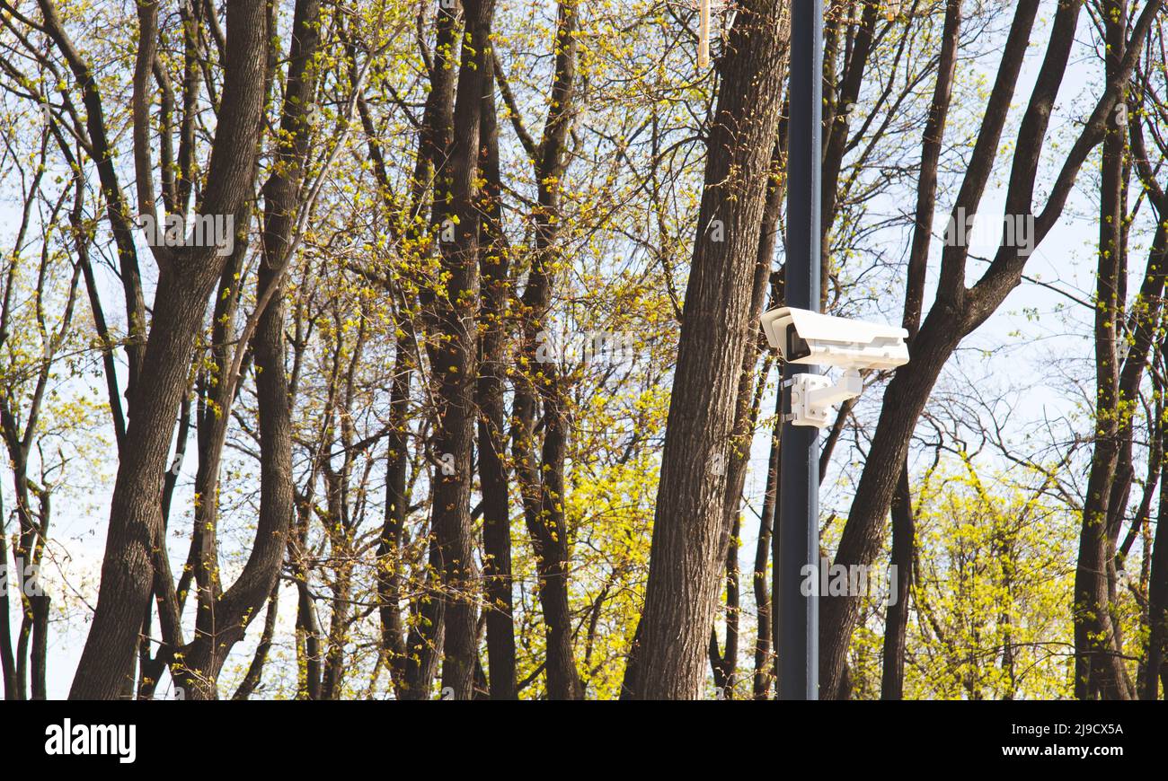 Telecamera di sorveglianza. Monitoraggio di una persona. Ricerca e ricerca. Macchina fotografica per strada. Protezione dell'oggetto sul territorio. Foto Stock