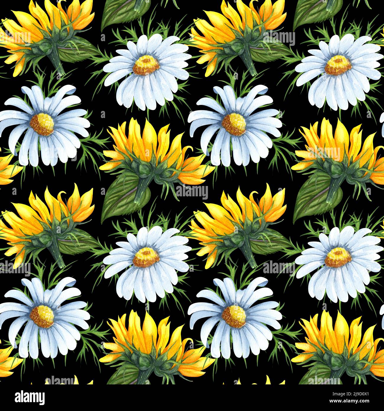 Acquerello senza cuciture con girasoli e fiori di camomilla. Campo di beckground disegnato a mano con fiori selvatici perfetto per decorare tessuti, imballaggi, Foto Stock