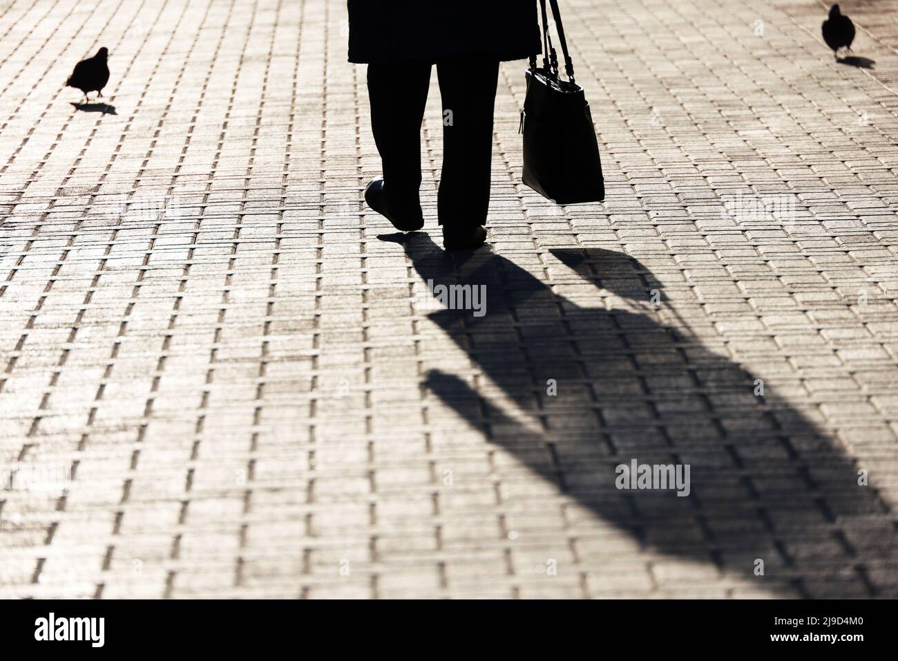 Silhouette di vecchia donna con borsa a piedi lungo la strada e piccioni, ombra nera sul marciapiede. Concetto di vita di pensionamento, shopping Foto Stock