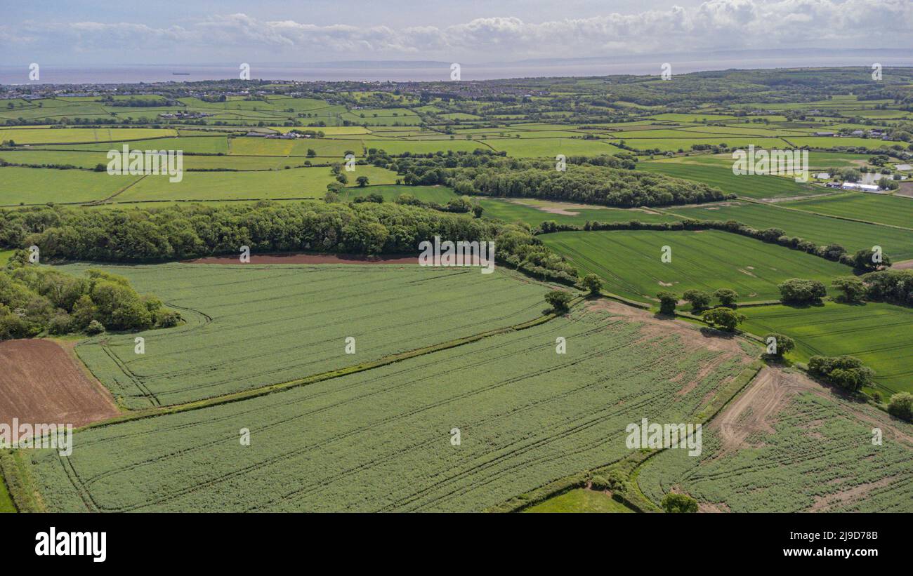 Viste aeree della Camera di sepoltura di St Lythans, vale of Glamorgan, Galles del Sud, Regno Unito. Si prega di credito: Phillip Roberts Foto Stock