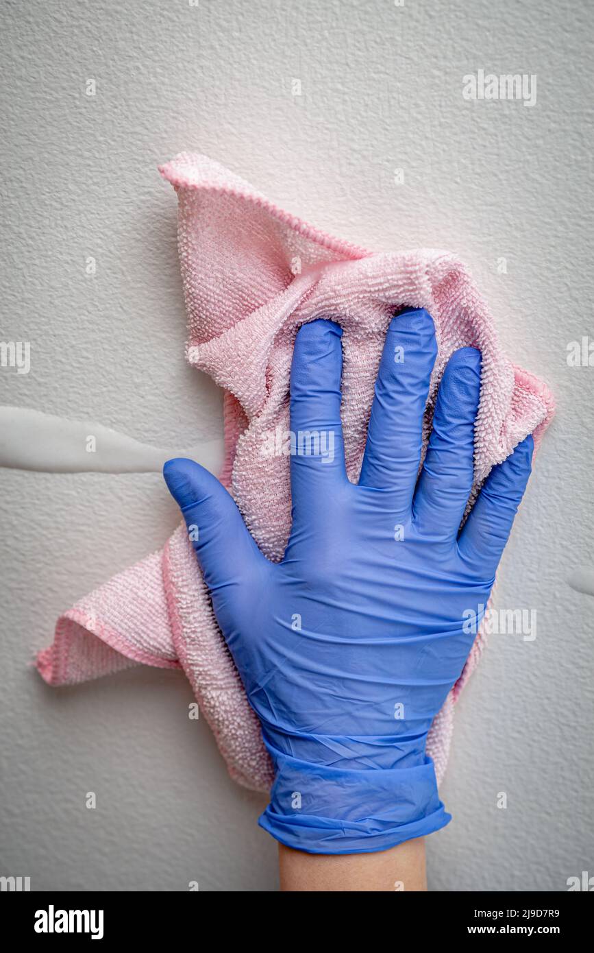 Mano del dipendente in un guanto protettivo in gomma blu con panno in microfibra per rimuovere la parete dalla polvere. La cameriera o la casalinga si preoccupano della casa. Pulizia commerciale Foto Stock