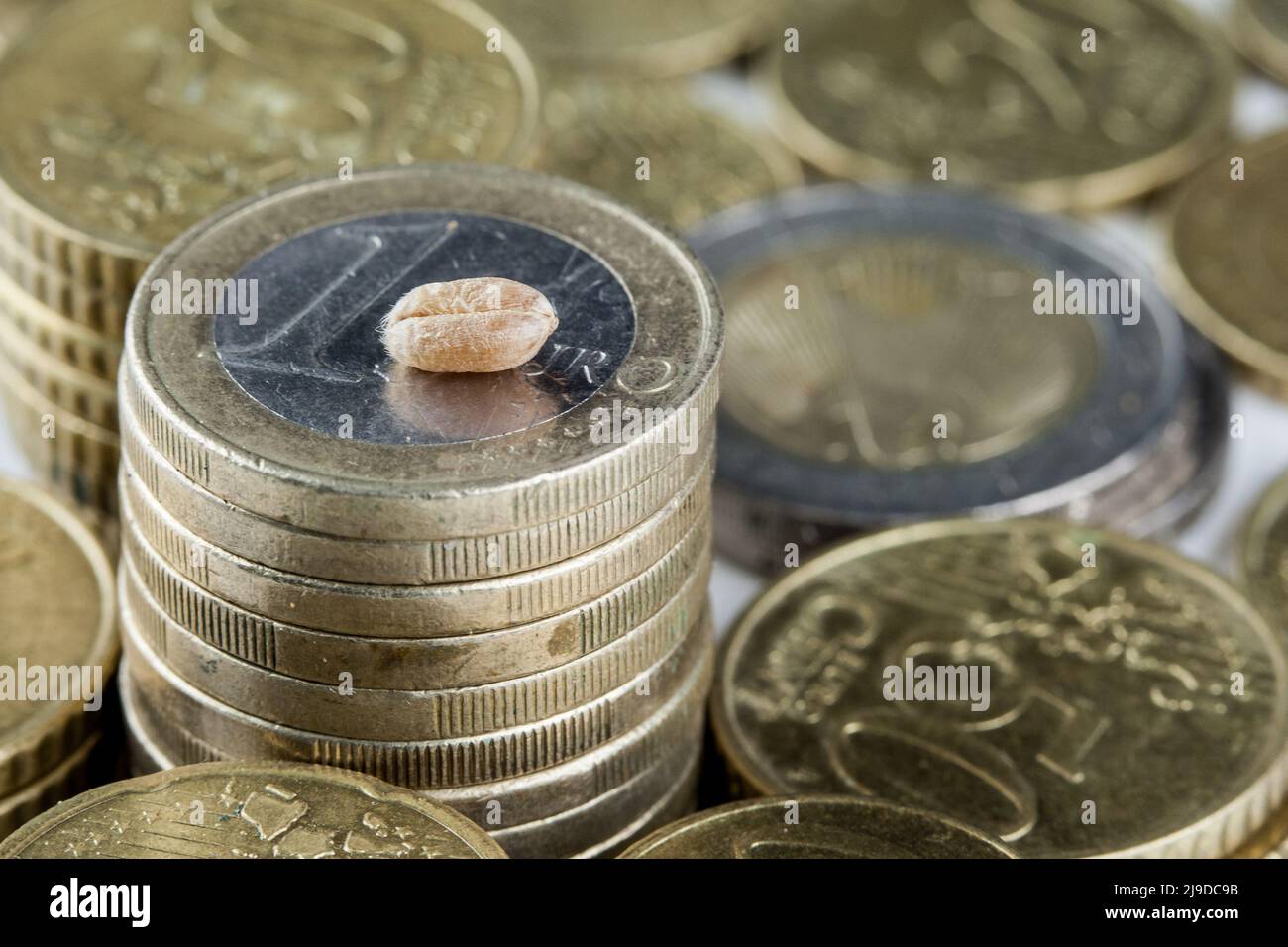Un grano si trova sopra una pila di monete in euro. I prezzi dei cereali continuano ad aumentare in modo drastico. Il grano è estremamente scarso sul mercato mondiale, così come mu Foto Stock
