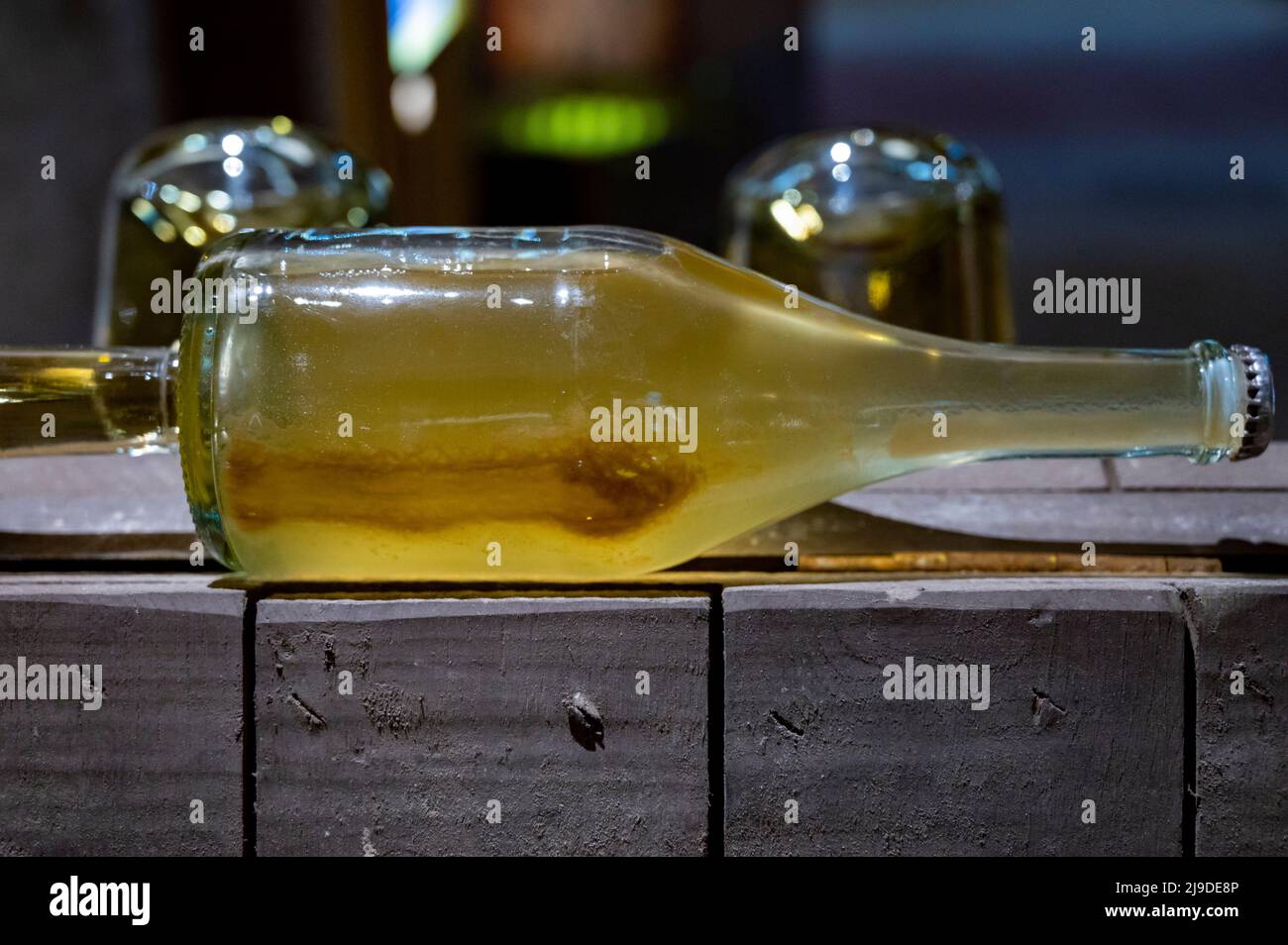 Sedimento in bottiglia di vino immagini e fotografie stock ad alta  risoluzione - Alamy