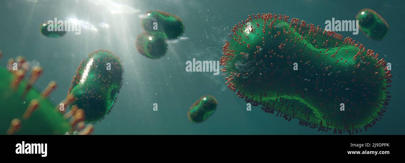 Monkeypox virus, uno degli ortopossvirus umani, sfondo formato banner, primo piano Foto Stock