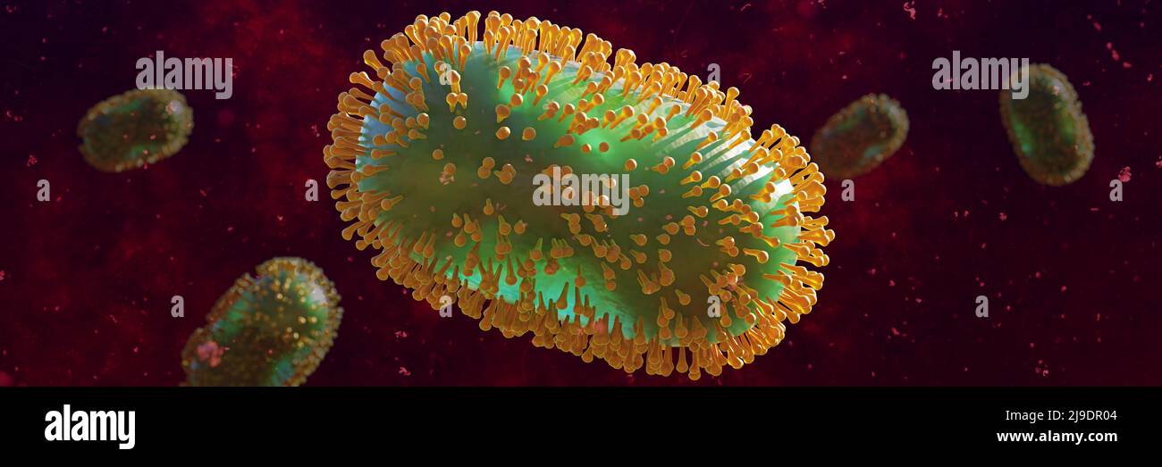 Virus Monkeypox, virus zoonotico del DNA a doppio filamento infettivo Foto Stock
